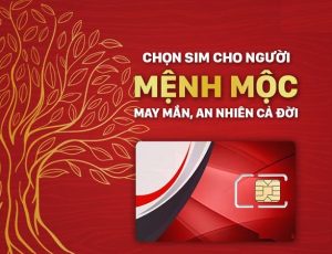 Sim số đẹp Viettel Hòa Bình