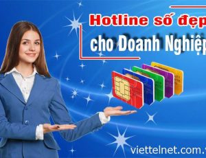 Kho sim máy bàn Viettel Số đẹp 686868, 666888, 999999